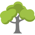 Costa Mesa Tree Trimming Service