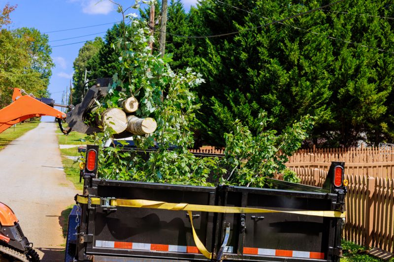 Commercial Tree Service detail
